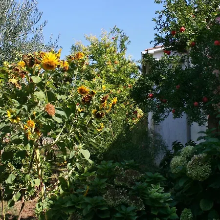 6985b Appartement *